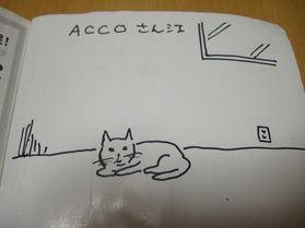 ¥é¥¸¥ò5