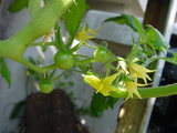 3dafba76.JPG
