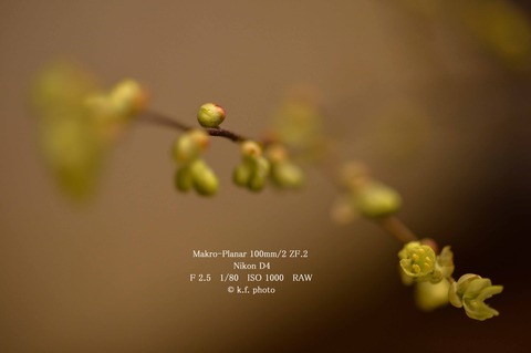 5 1-80 ISO 1000-2 (1 - 1)