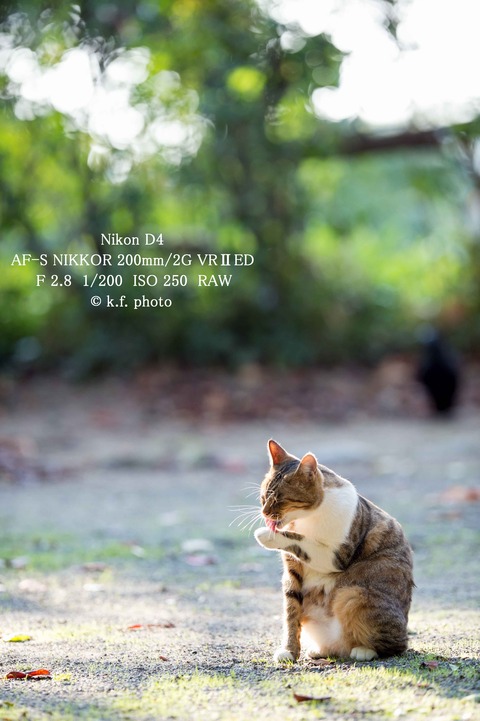 8 1-200 iso 250 (1 - 1)
