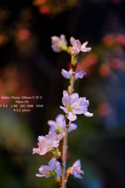 5 1-80 ISO 1000-A2 (1 - 1)