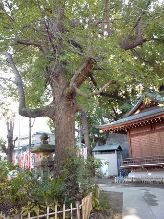 ロケ地への旅 In 東京 神奈川 僕と君がつながる世界
