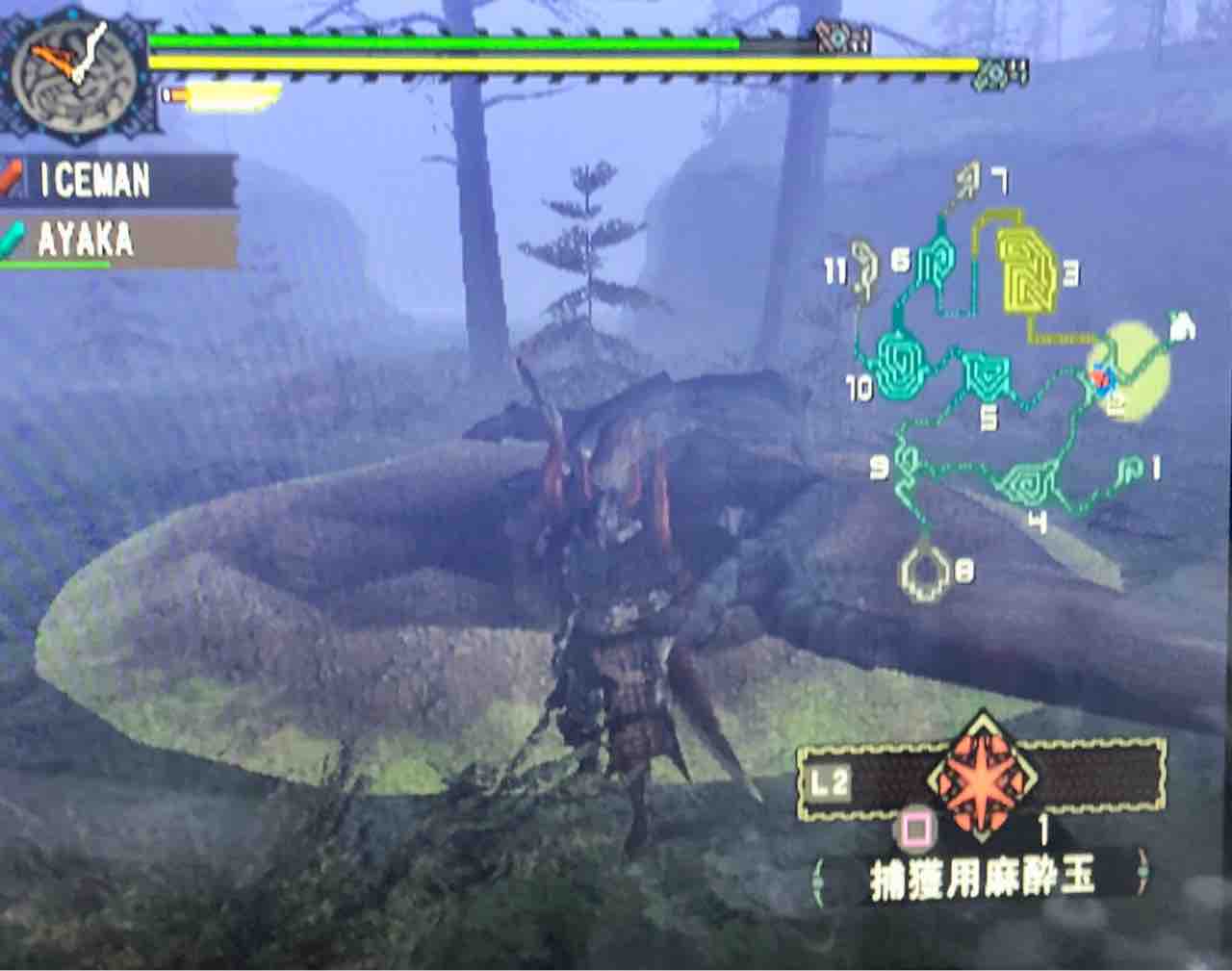 モンハン無印日記 捕獲は苦手 ナースとソースのとんかつ日記