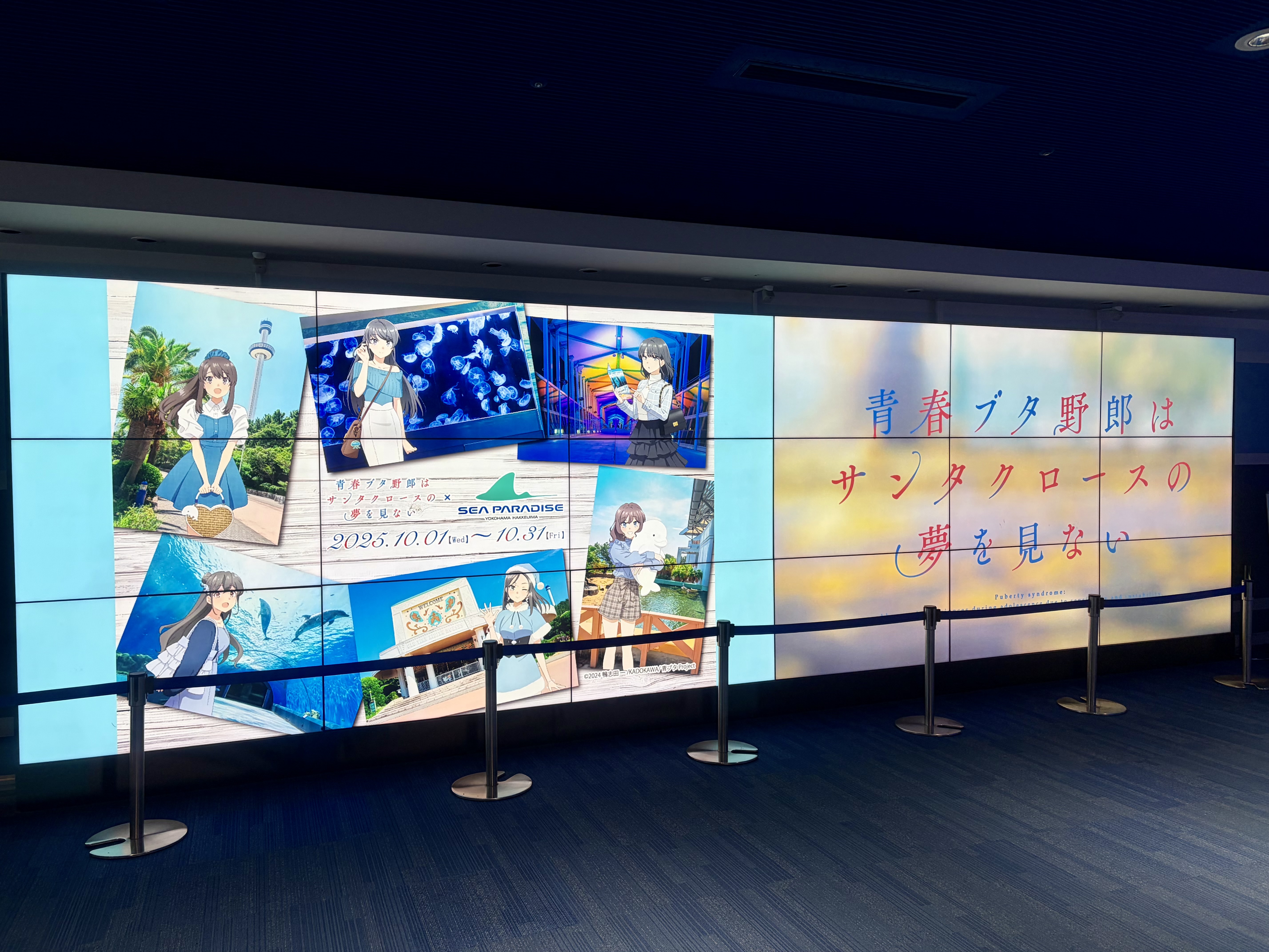 青春ブタ野郎はサンタクロースの夢を見ない × 横浜八景島シー 
