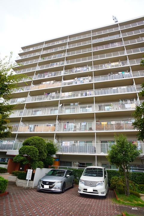 DSC07735