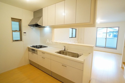 DSC00513_result