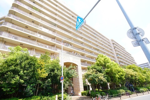 DSC07894