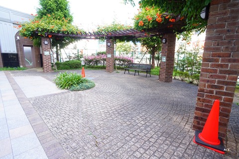 DSC08422