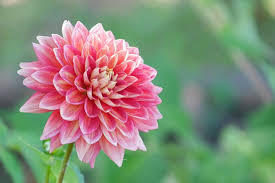 yjimage6Q8Y5B73