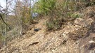 城ヶ峯登山道