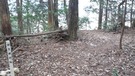 山頂付近