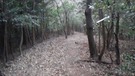 城ヶ峯石谷下り