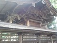 右龍