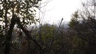 城ヶ峯西端