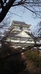 岐阜城模擬天守