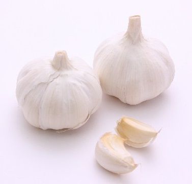 にんにく写真