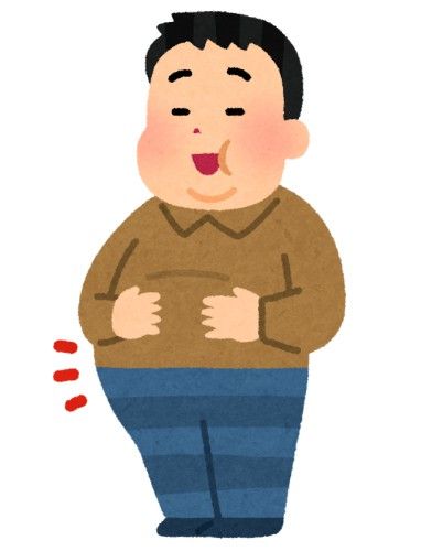 わりとまじで腹の肉減らす方法ないの