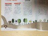 写真 21