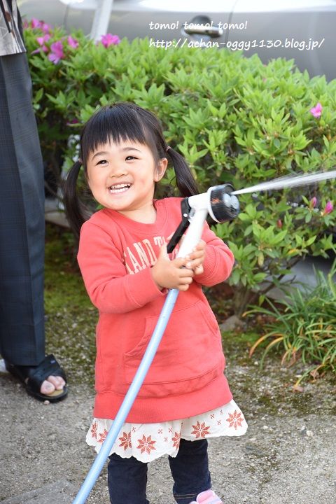 tomo20170429a