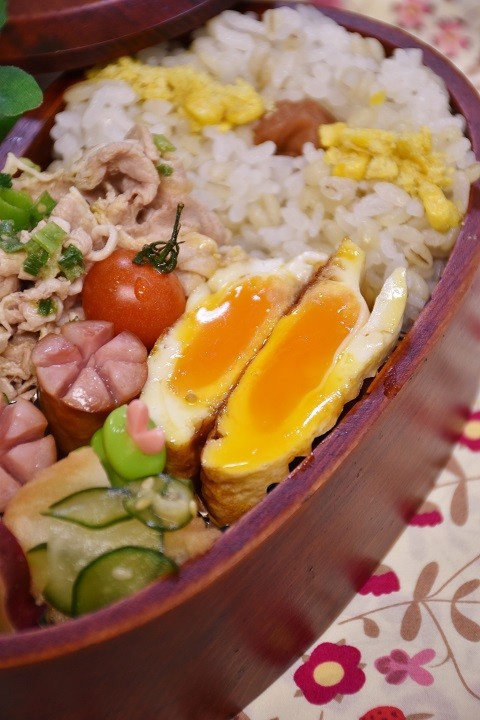 obento20170125b