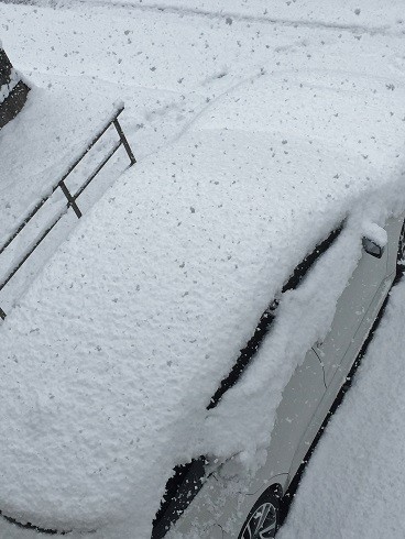 snow20170115a