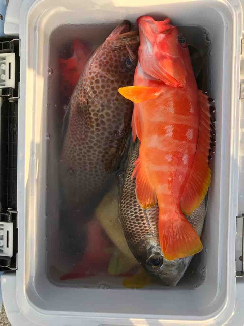 FullSizeRender