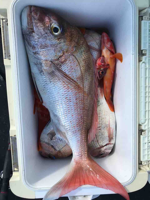 IMG_2075