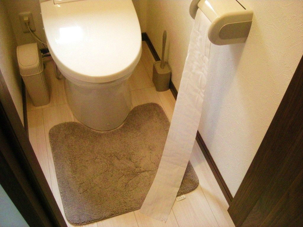 トイレットペーパーを食べるポメラニアン ポメラニアン ポン太 の日記