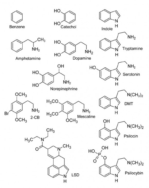 monoamine-structure