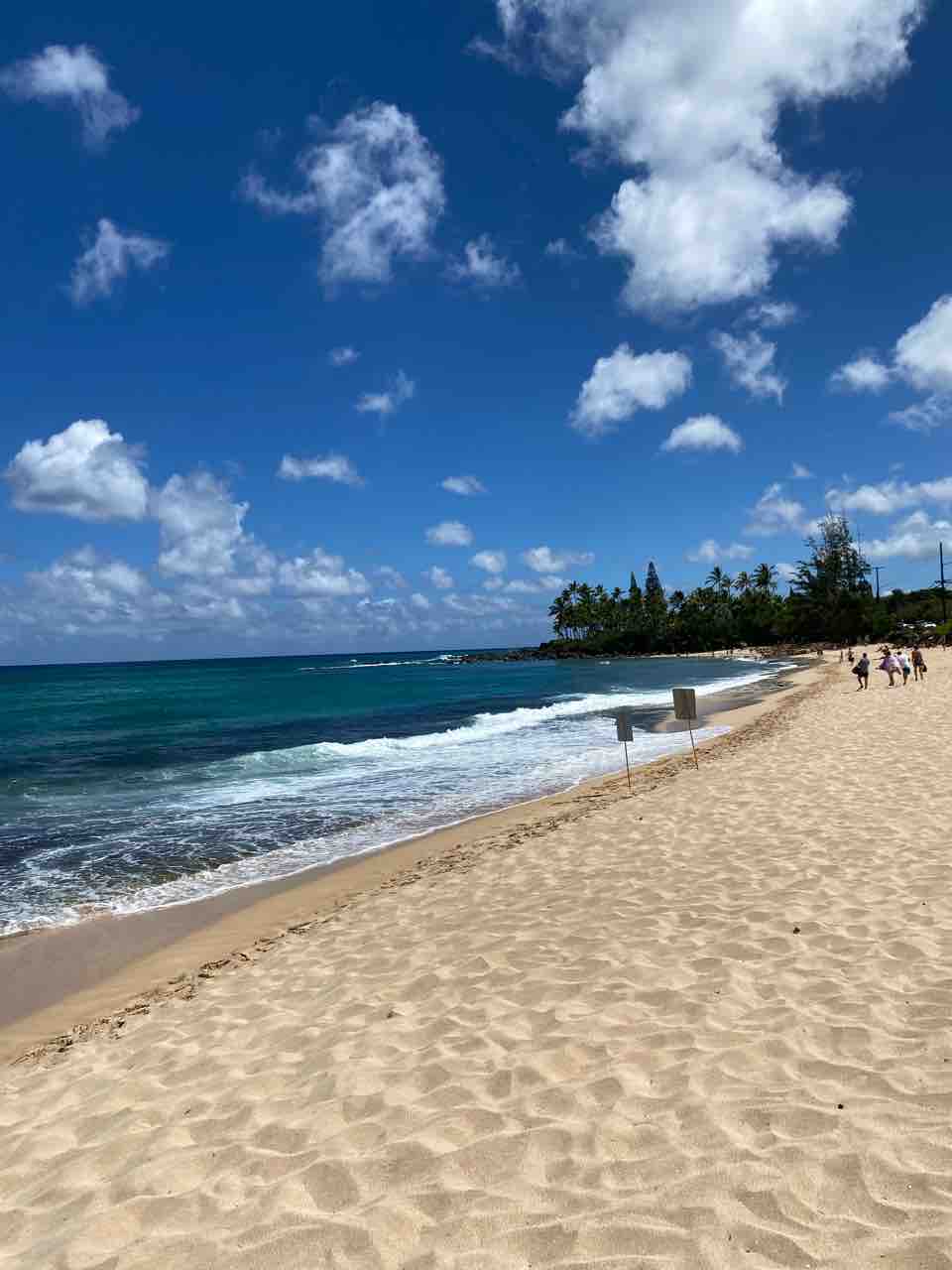 ラニアケアビーチの西側 ノースショアの亀ビーチのすぐ横は実は素敵な砂浜 オアフ島 ハワイネコ ブログ ラニアケアビーチの西側 ノースショアの亀ビーチのすぐ横は実は素敵な砂浜 オアフ島 ハワイネコ ブログ