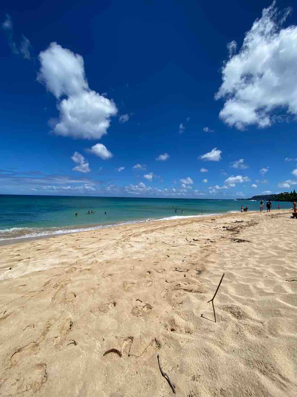 ラニアケアビーチの西側 ノースショアの亀ビーチのすぐ横は実は素敵な砂浜 オアフ島 ハワイネコ ブログ ラニアケアビーチの西側 ノースショアの亀ビーチのすぐ横は実は素敵な砂浜 オアフ島 ハワイネコ ブログ