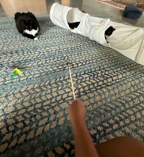 FullSizeRender