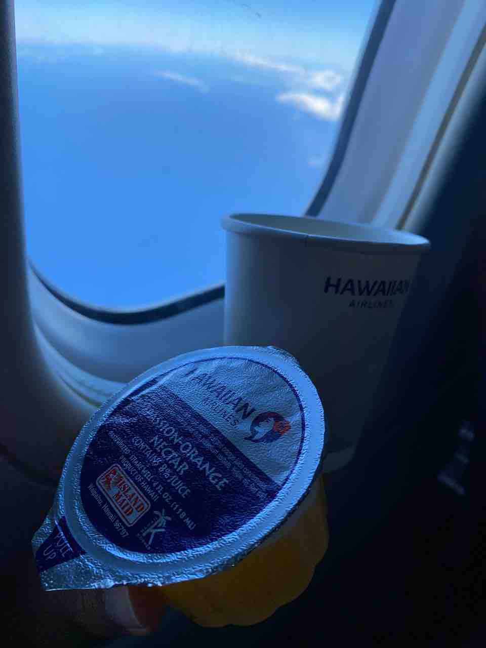 カウアイ島の交通事情を侮っていたよ 搭乗時間25分前にホテルでオロオロ ハワイネコ ブログ