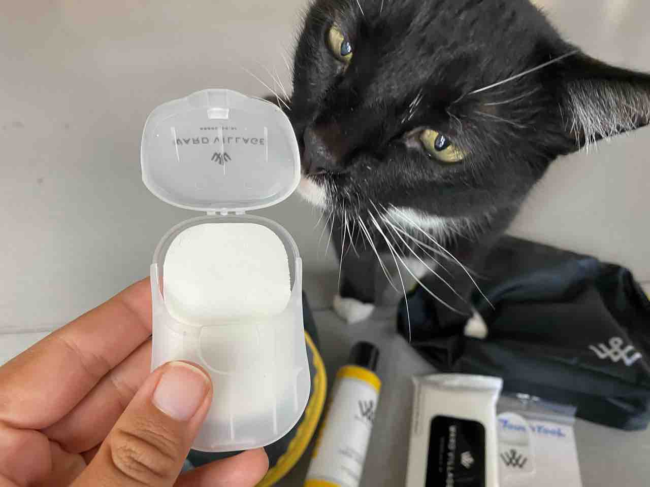 ハンドサニタイザーを持て余して掃除に使ってる ハワイネコ ブログ