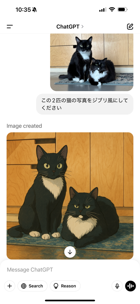 黒猫@ 【イラストオーダー】 ami/猫イラスト (@hachiwarebro) • Instagram photos and videos