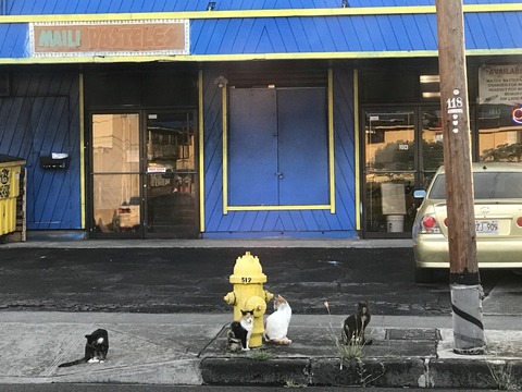 2017-09-11-13-09-56