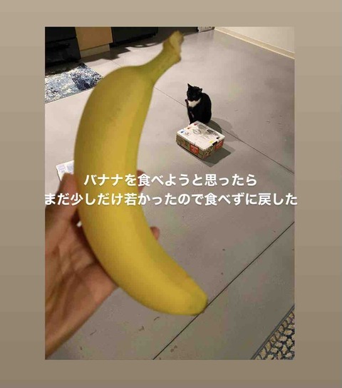 FullSizeRender