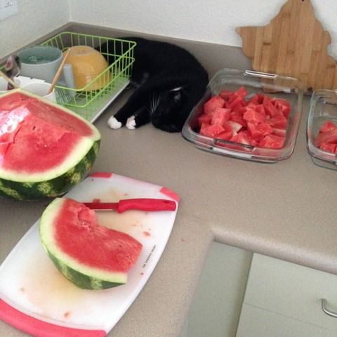 20140923_001122473_iOS