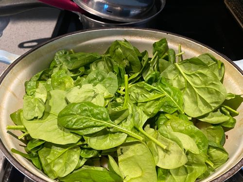 クリスマス当日は久々の完全引きこもり ハワイネコ ブログ