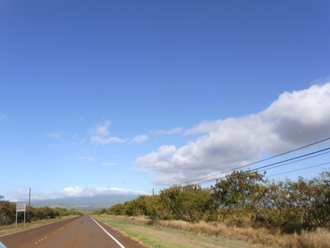 252c03b2.jpg
