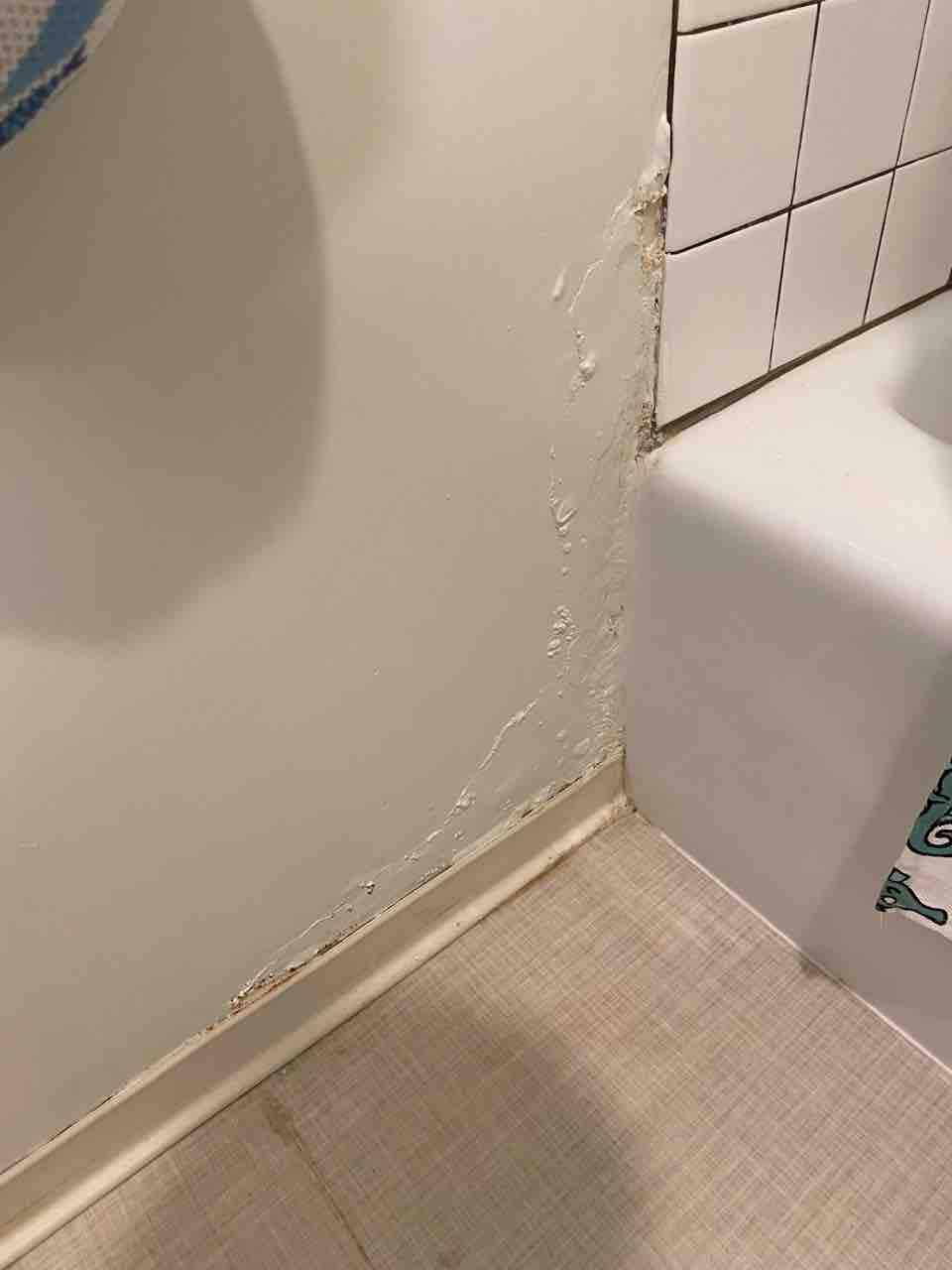 欠陥住宅 大家との闘いその２ ほらね 水漏れ発見 ハワイネコ ブログ