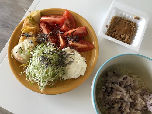 カロリーとたんぱく質が足りない日 低カロリーダイエット日記 ハワイネコ ブログ