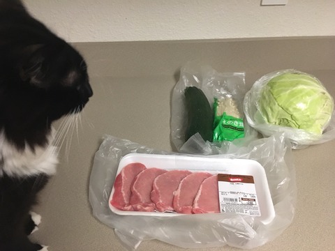 2017-03-09-16-01-49