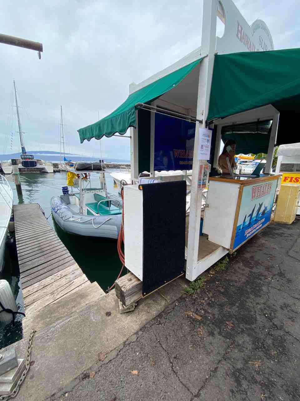 クジラ マウイホエール❤︎ハワイ マウイ島ラハイナ クジラポップ