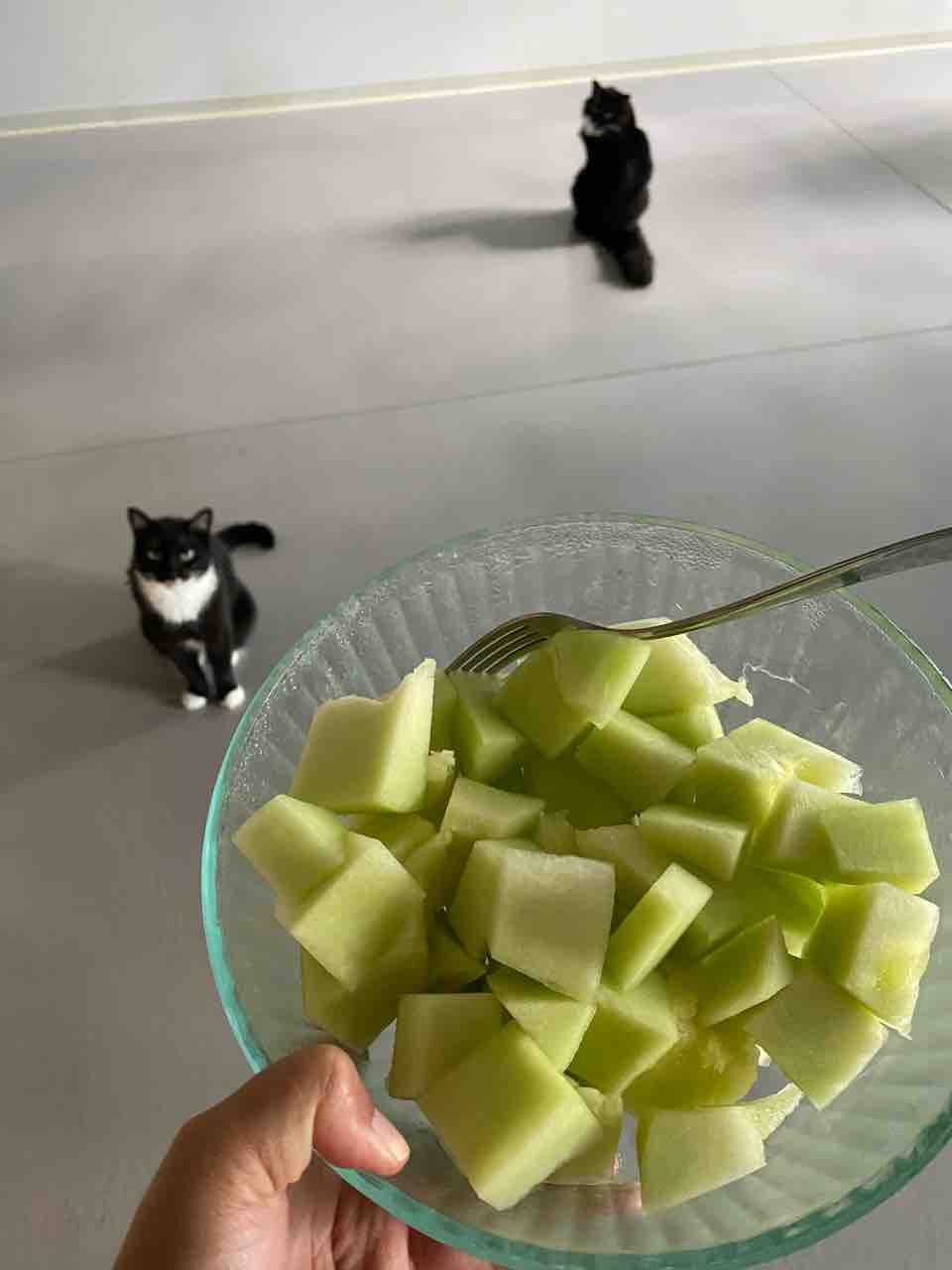 日曜日の韓国インスタントラーメン ハワイネコ ブログ