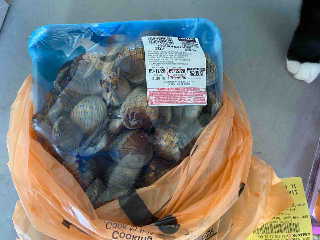 連日コストコ・今回は７７ドル。そして半年で５０００ドル使用？【ハワイ暮らし】 : ハワイネコ ブログ