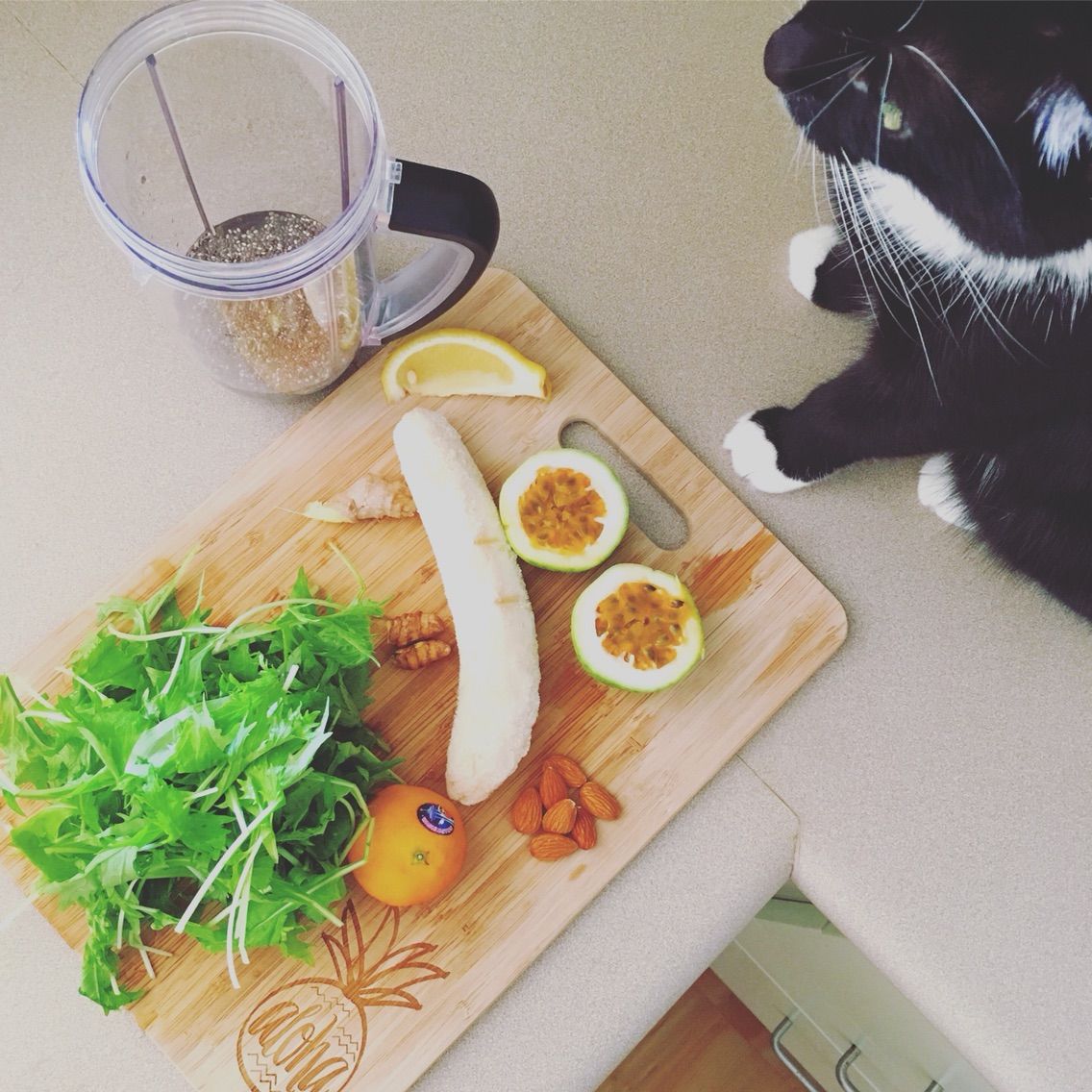 朝スムージー ハワイネコ ブログ