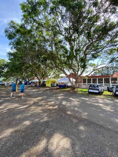 IMG_4029