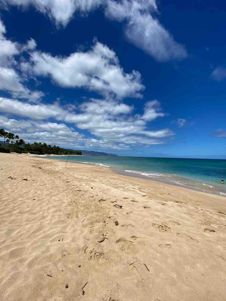 ラニアケアビーチの西側 ノースショアの亀ビーチのすぐ横は実は素敵な砂浜 オアフ島 ハワイネコ ブログ ラニアケアビーチの西側 ノースショアの亀ビーチのすぐ横は実は素敵な砂浜 オアフ島 ハワイネコ ブログ