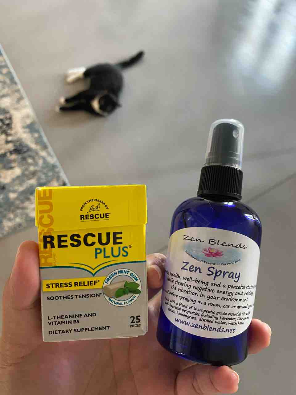 ご飯日記 夫にイラついてスナック菓子 開封 ハワイネコ ブログ ご飯日記 夫にイラついてスナック菓子 開封 ハワイネコ ブログ